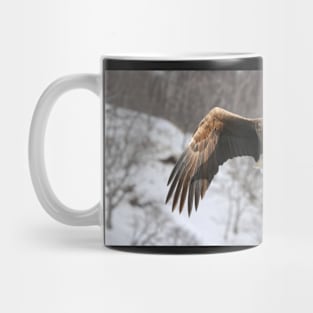 White tailed eagle Mug